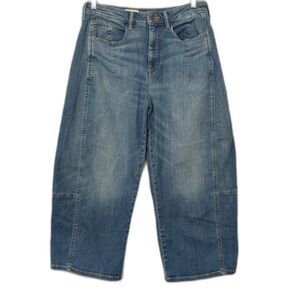 Anthropologie Pilcro Kenna Heritage Barrel Leg Jeans Blue Seamed Horseshoe Sz 29